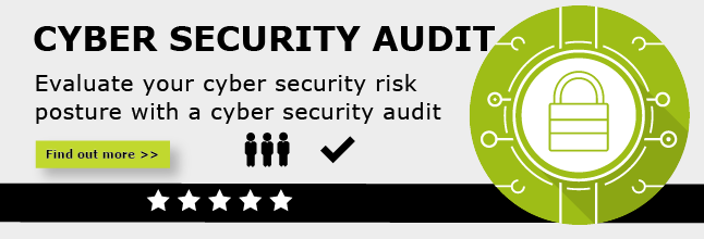 Cyber-Security-Audit-Review